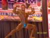 teamusa2007_small.jpg